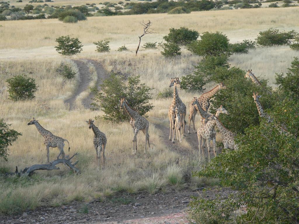 Etendeka Mountain Camp Damaraland Buitenkant foto