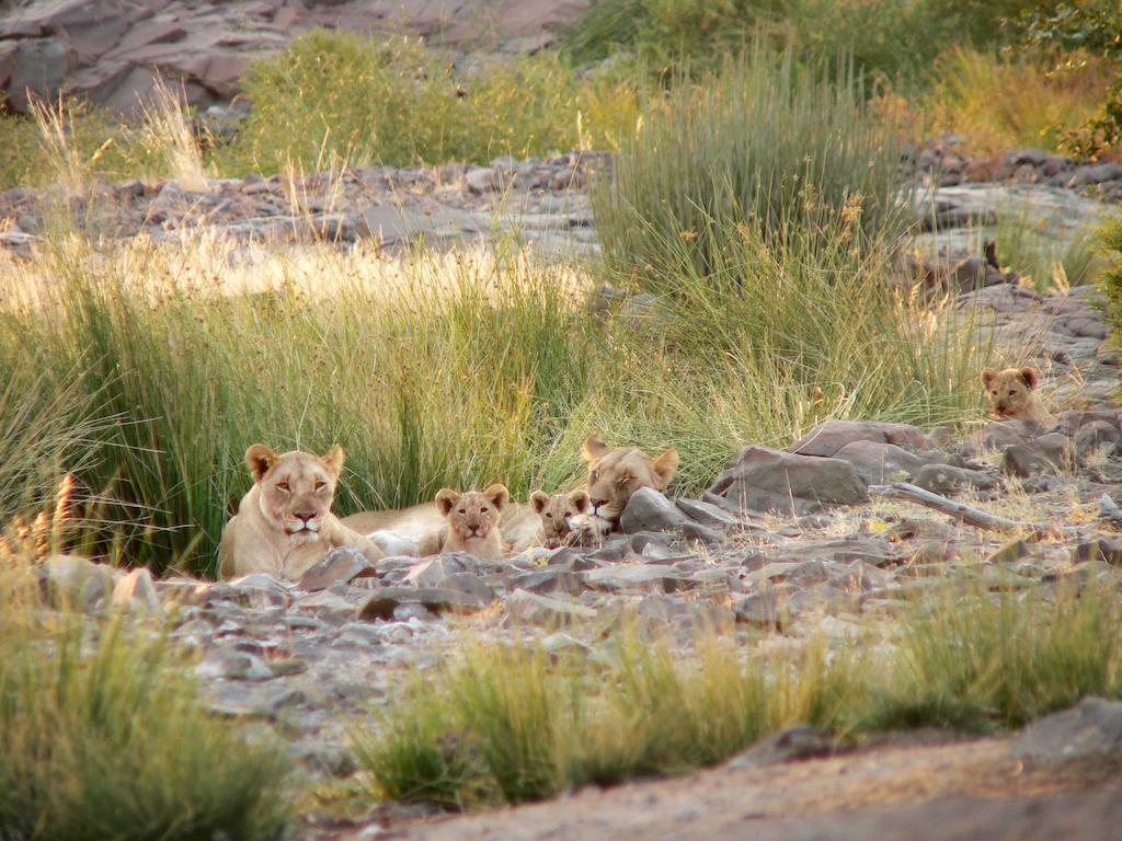 Etendeka Mountain Camp Damaraland Buitenkant foto