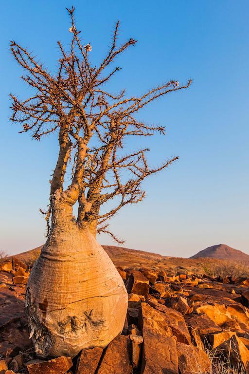 Etendeka Mountain Camp Damaraland Buitenkant foto